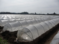 P1090299-10.jpg