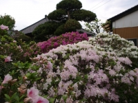 P5100280-3.jpg