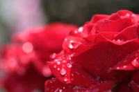 IMG_5671_1024.jpg