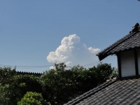 DSC02053-2.jpg