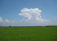 20110709225738-2.jpg