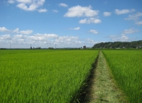 20110718223926.jpg