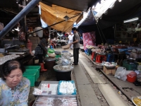 DSC02198-5.jpg
