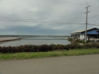 DSC02156-5.jpg