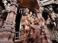 DSC02446-5.jpg