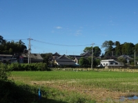 DSC00880-101.jpg