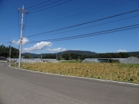 DSC00883-101.jpg