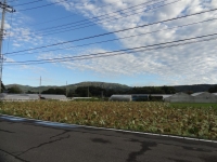 DSC00858-101.jpg
