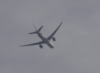_A231446-4.jpg