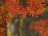 _B290263_1280.jpg