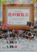 DSC03885-2.jpg