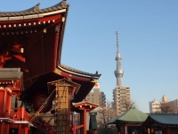 DSC03827-2.jpg