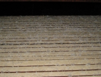 IMG_3202B.JPG