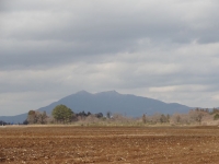 DSC04315-2.jpg