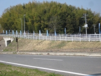 IMG_3263B.JPG