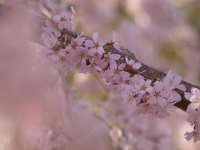 _4050893_1024.jpg