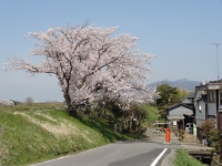 DSC04507-3.jpg