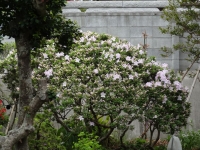 502-01.jpg
