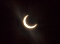 _5211080_1024.jpg