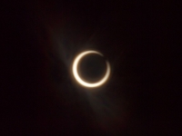 _5211090_1024.jpg