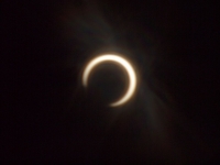 _5211116_1024.jpg