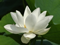 DSC02163-5.jpg