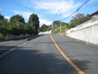 IMG_3867_B.JPG