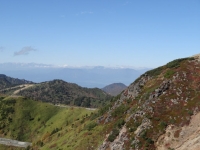 DSC05254-5.jpg