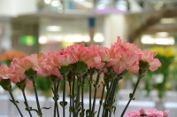 DSC_0216-3.jpg