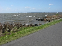 IMG_4318B.JPG