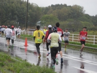 IMG_4386B.JPG