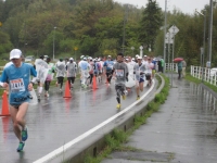 IMG_4384B.JPG