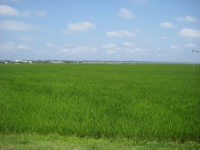 IMG_4758B.JPG