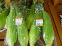 DSC05143-2.jpg