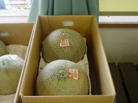DSC05162-2.jpg