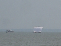 IMG_4955B.JPG