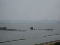 IMG_4958B.JPG