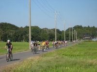 IMG_5101B.JPG