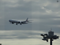 DSC01530_R.JPG