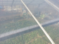 20140328_110949-2.jpg