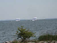 IMG_5454B.JPG