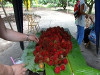 DSC08898_R.JPG