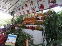 DSC08918_R.JPG