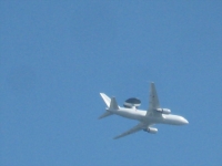 IMG_6075B.JPG