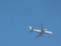 IMG_6073B.JPG