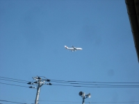 IMG_6072B.JPG