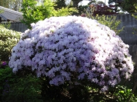 DSC00557-4.jpg
