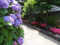 DSC00006_R.JPG