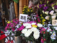 DSC09956_R.JPG
