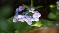 DSC00051_R.JPG